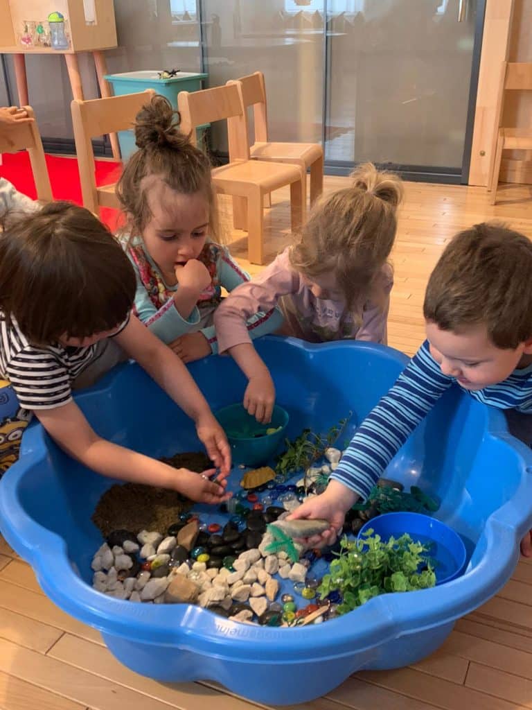 Kipina Preschool Timisoara Romania 202112